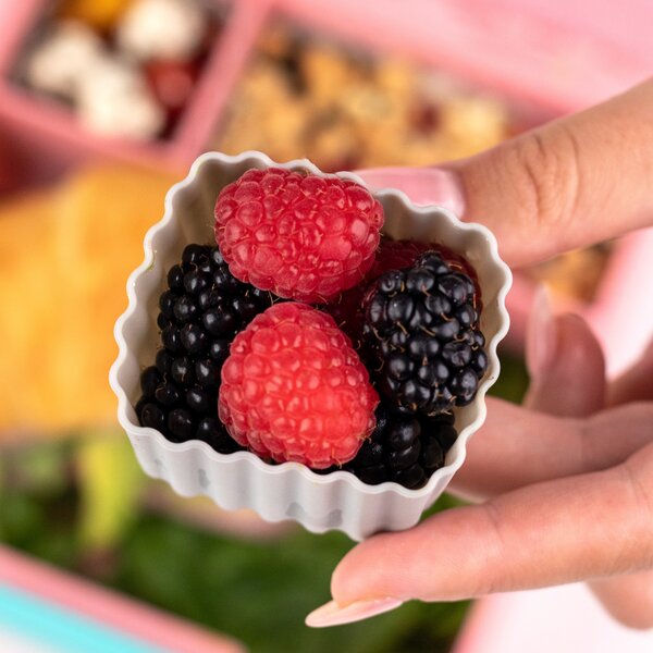 Bento Förmchen Mix, 3er Set | MontiiCo