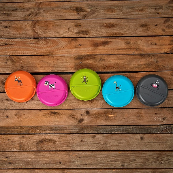 Carl Oscar BentoDISC