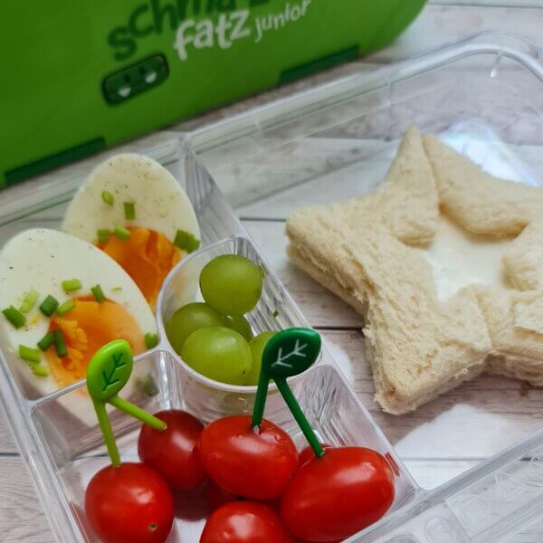 Food Picks - verschiedene Designs und Stückzahlen