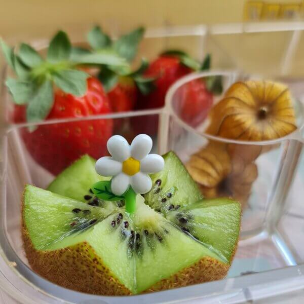 Food Picks - verschiedene Designs und Stückzahlen