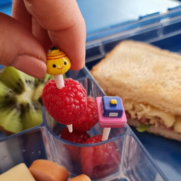 Food Picks - verschiedene Designs und Stückzahlen