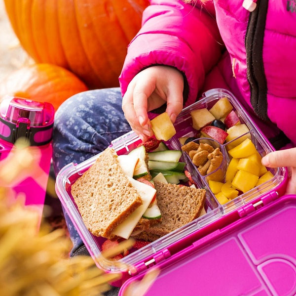 Schmatzfatz junior Brotbox